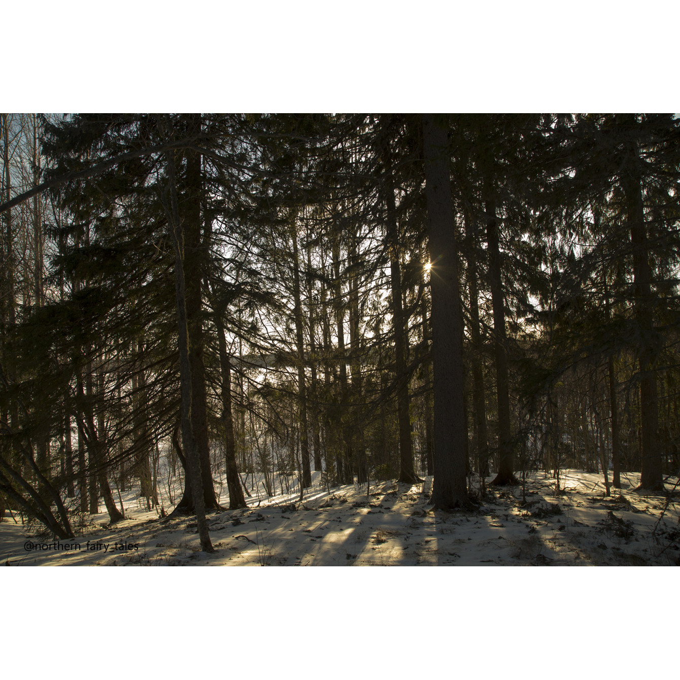 A Journey to the Archetype